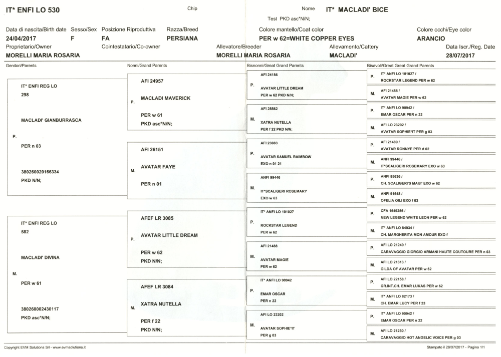 Ahnentafel Bice