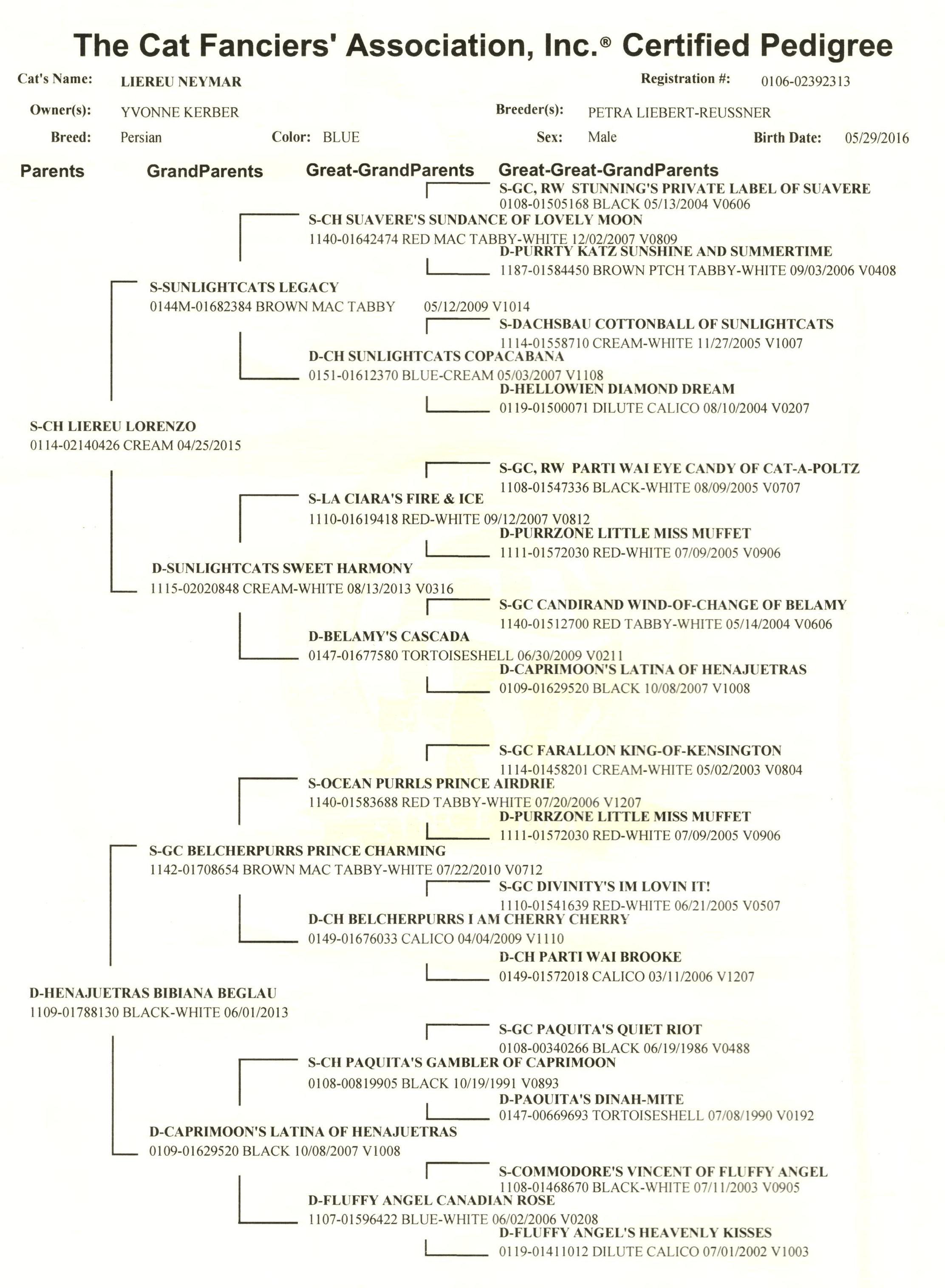 Ahnentafel Wuschel