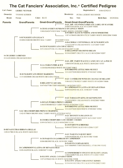 Ahnentafel kl. Wuschel